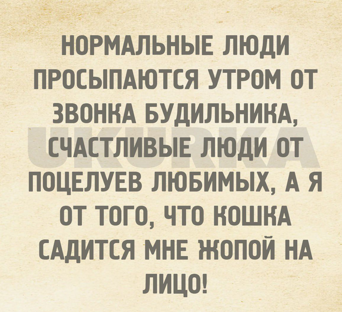 НОРМАЛЬНЫЕ ЛЮДИ ПРОСЫПАЮТСЯ УТРОМ 0ОТ ЗВОНКА БУДИЛЬНИКА СЧАСТЛИВЫЕ ЛЮДИ оТ ПОЦЕЛУЕВ ЛЮБИМЫХ А Я оТ ТоГО ЧТО КОШКА САДИТСЯ МНЕ ЖОПОЙ НА ЛИЦо