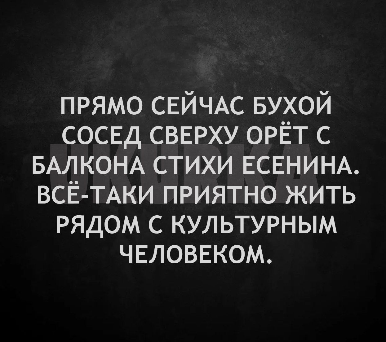 ПРЯМО СЕЙЧАС БУХОЙ СОСЕД СВЕРХУ ОРЁТ С БАЛКОНА СТИХИ ЕСЕНИНА ВСЁ ТАКИ ПРИЯТНО ЖИТЬ РЯДОМ С КУЛЬТУРНЫМ ЧЕЛОВЕКОМ