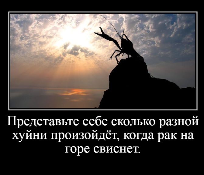 Представьте себе сколько разной хуйни произойдёт когда рак на торе свиснет