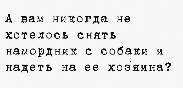 А вам никогда не хотелось снять намордник с собаки и надеть на ее хозяина