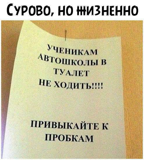 СУРОВО НО ЖИЗНЕННО УЧЕНИКАМ АВтоШколы В ТУАЛЕТ НЕ ХОдИТЬ ПРИВЫКАЙТЕ К ПРОБКАМ