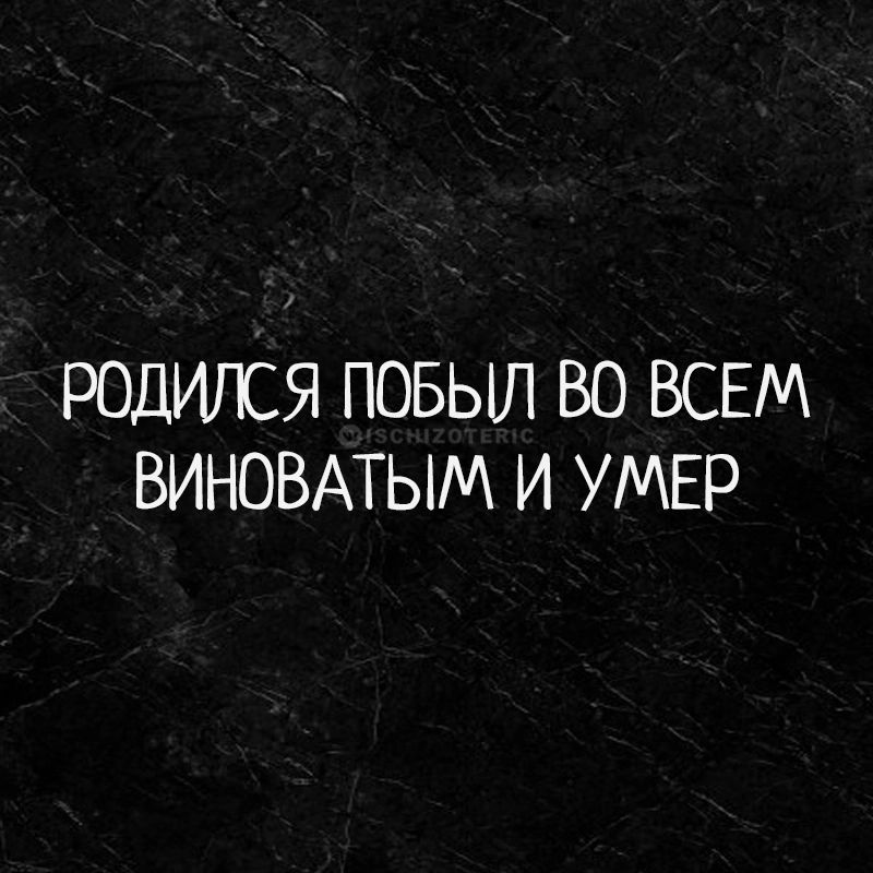 РОДИЛСЯ ПОБЫЛ ВО ВСЕМ ВИНОВАТЫМ И УМЕР