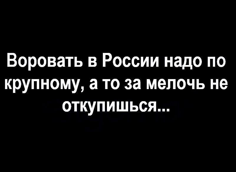 Воровать в России надо по крупному а то за мелочь не откупишься