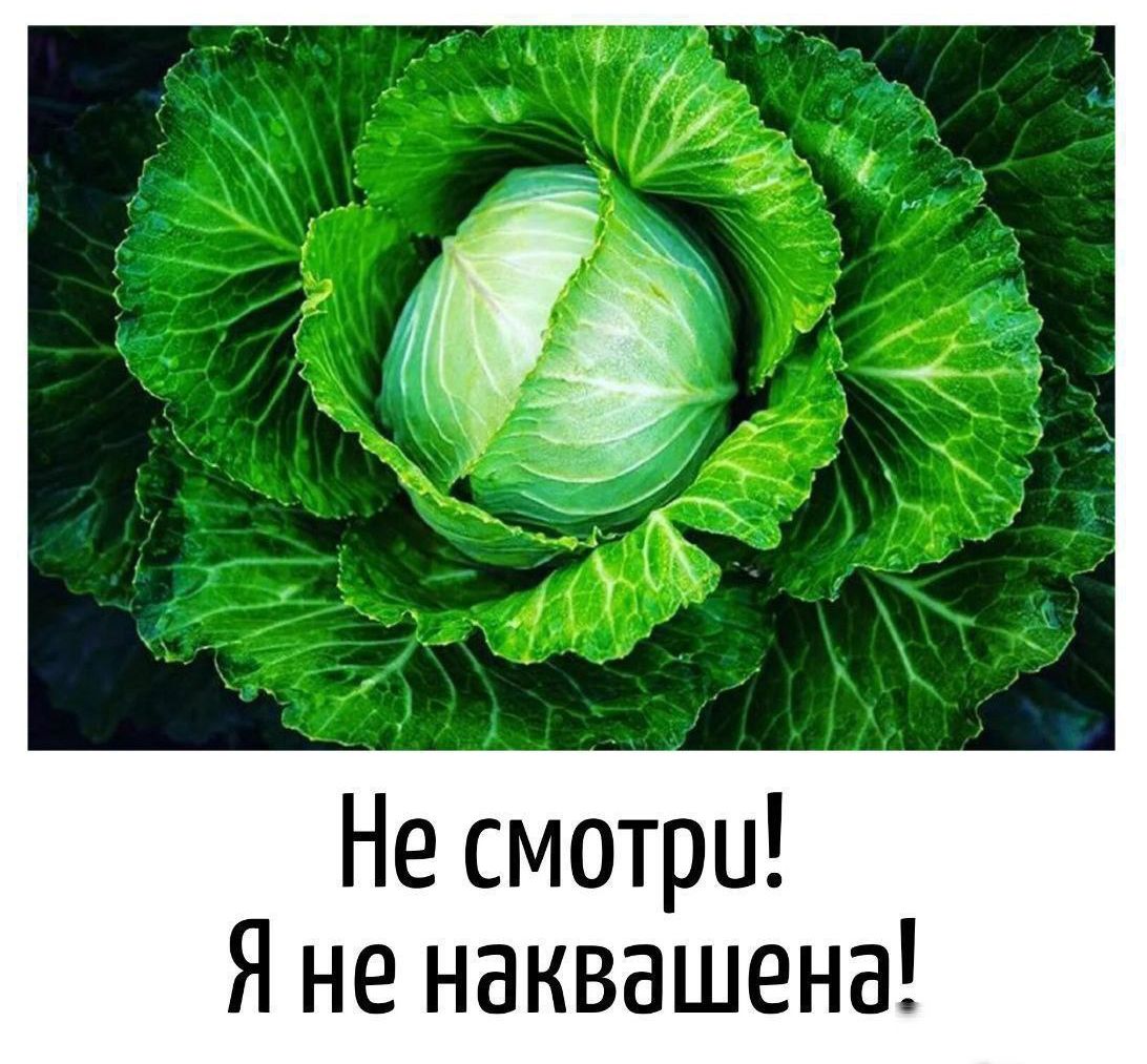 Не смотри Я не наквашена