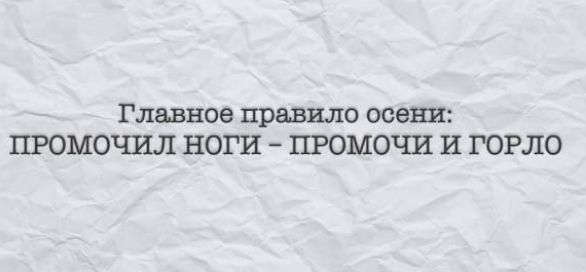 Главное правило осени ПРОМОЧИЛ НОГИ ПРОМОЧИ И ГОРЛО