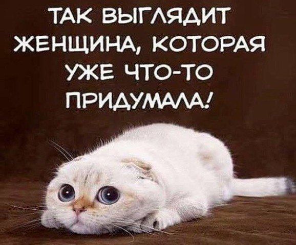 ТАК ВЫГЛЯДИТ ЖЕНЩИНА КОТОРАЯ УЖЕ ЧТО ТО ПРИДУМАЛА