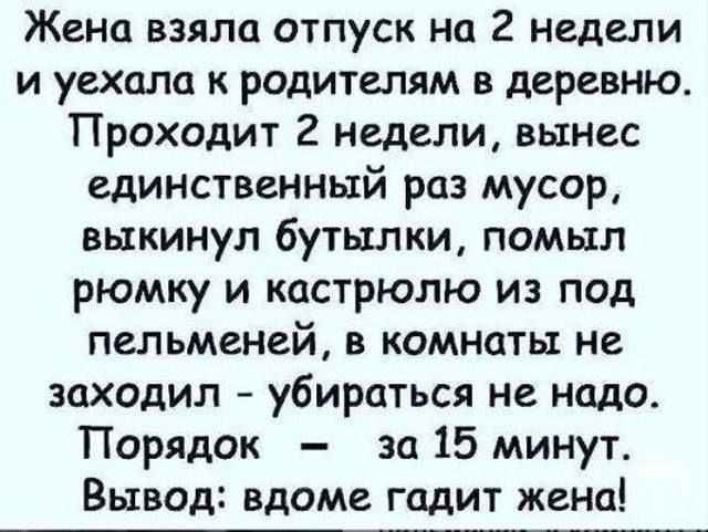 Жена взяла отпуск на 2 недели и уехала к родителям в деревню Проходит 2 недели вынес единственный раз мусор выкинул бутылки помыл рюмку и кастрюлю из под пельменей в комнаты не заходил убираться не надо Порядок за 15 минут Вывод вдоме гадит жена