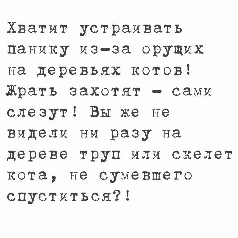 Хватит устраивать панику из за орущих на деревьях котов Жрать захотят сами слезут Вы же не видели ни разу на дереве труп или скелет кота не сумевшего спуститься