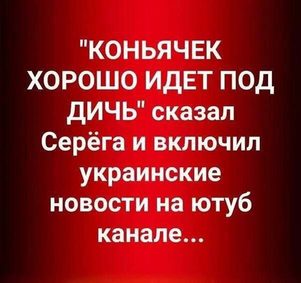 КОНЬЯЧЕК ХОРОШО ИДЕТ ПОД ДИЧЬ сказал Серёга и включил украинские новости на ютуб канале