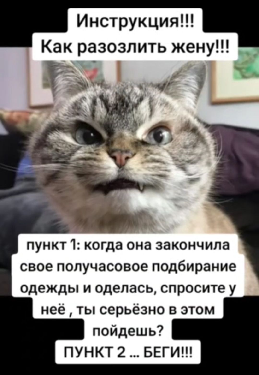 Инструкция Как разозлить жену пункт 1 когда она закончила свое получасовое подбирание одежды и оделась спросите у неё ты серьёзно в этом пойдешь ПУНКТ 2 БЕГИ