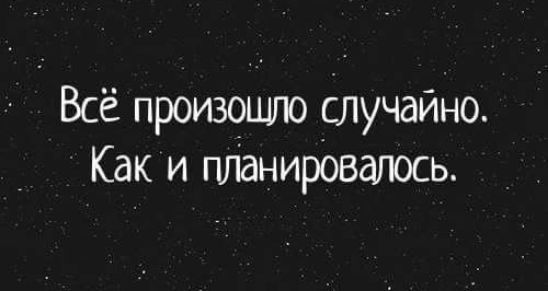 Всё произощло случайно Как и планировалось