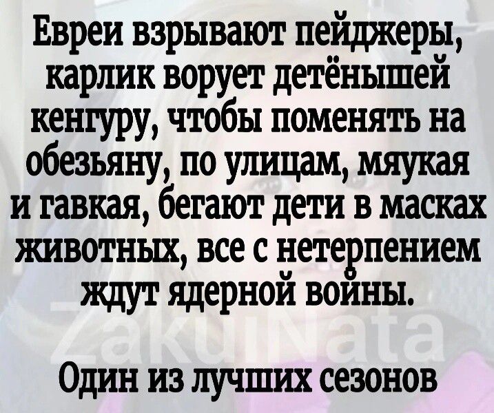 Евреи взрывают пейджеры карлик ворует детёнышей кенгуру чтобы поменять на обезьяну по улицам мяукая итавкая бегают дети в масках животных все с нетерпением ждут ядерной войны Один из лучших сезонов