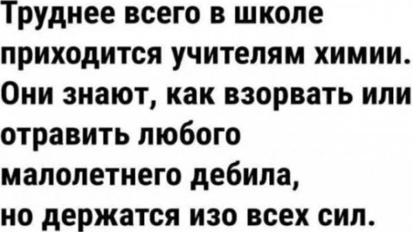 Труднее всего в школе приходится учителям химии Они знают как взорвать или отравить любого малолетнего дебила но держатся изо всех сил