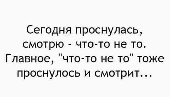 Сегодня проснулась смотрю что то не то Главное что то не то тоже проснулось и смотрит