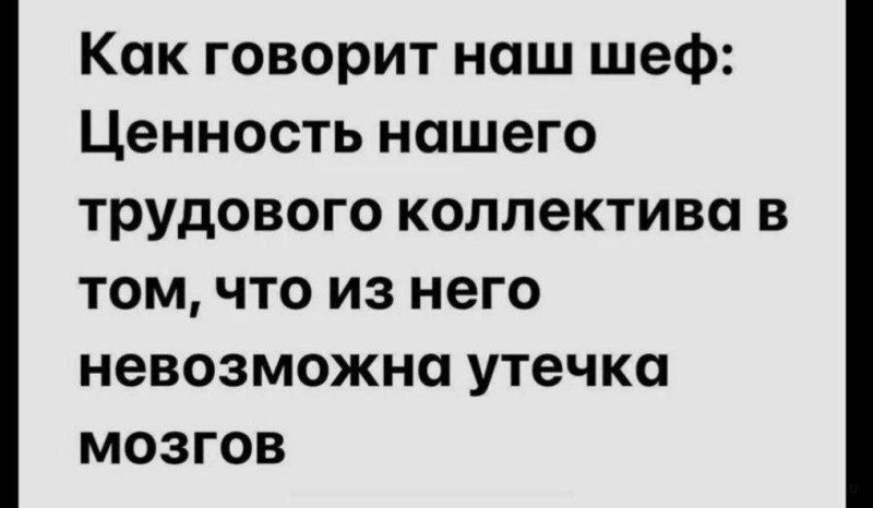 Как говорит наш шеф Ценность нашего трудового коллектива в том что из него невозможна утечка мозгов