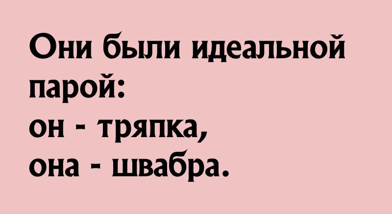 Они были идеальной парой он тряпка она швабра