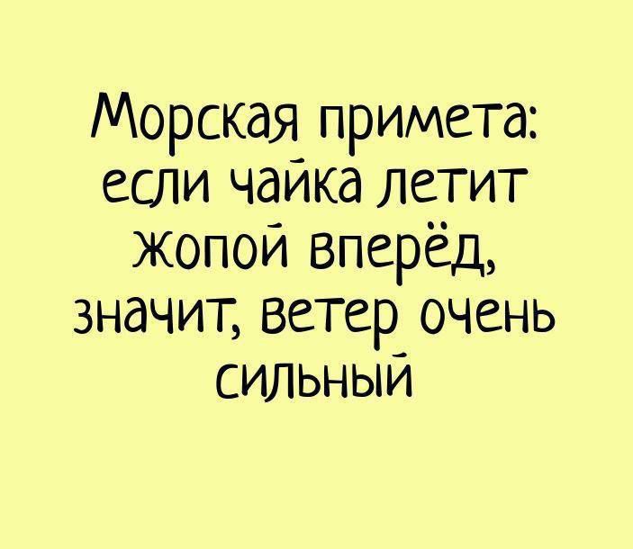 Морская примета если чаика летит жопой вперёд значит ветер очень СИЛЬНЫЙ