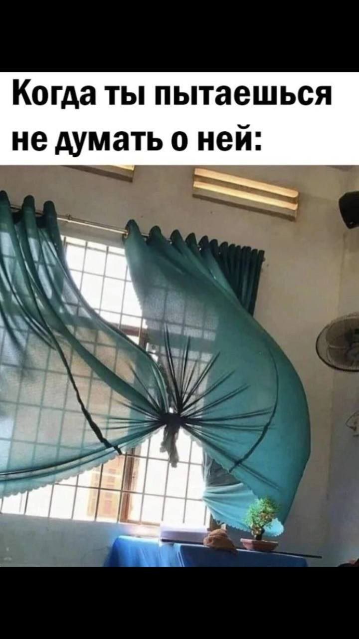 Когда ты пытаешься не думать о ней