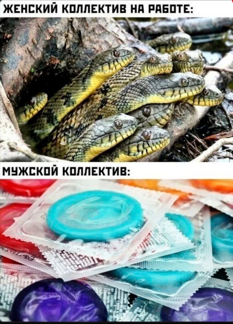 МУЖСКОЙ ЛЕКТИВ