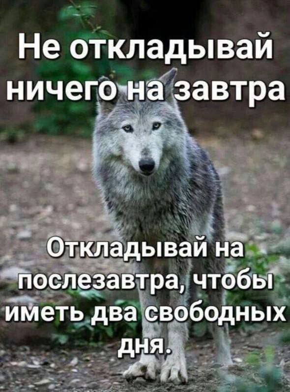 а 75 Не откладывай ничегожазавтра И