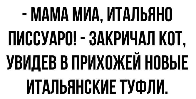 МАМА МИА ИТАЛЬЯНО ПИССУАРО ЗАКРИЧАЛ КОТ УВИДЕВ В ПРИХОЖЕЙ НОВЫЕ ИТАЛЬЯНСКИЕ ТУФЛИ