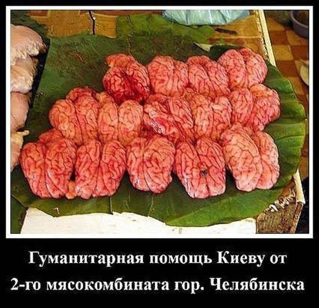 Гуманитарная помощь Киеву от 2 го мясокомбината гор Челябинска