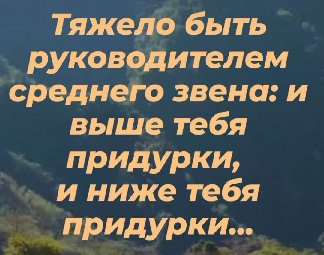 Тяжело быть руководителем среднего звена и выше тебя придурки и ниже тебя придурки