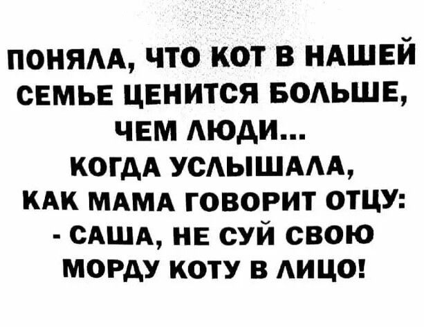 ПОНЯЛА ЧТО КОТ В НАШЕЙ СЕМЬЕ ЦЕНИТСЯ БОЛЬШЕ ЧЕМ ЛЮДИ КОГДА УСЛЫШАЛА КАК МАМА ГОВОРИТ ОТЦУ САША НЕ СУЙ СВОЮ МОРДУ КОТУ В ЛИЦО