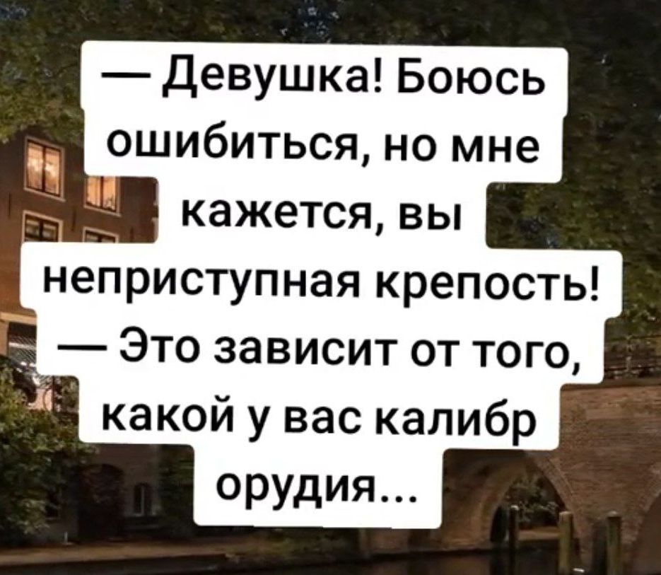 Девушка Боюсь ошибиться но мне кажется вы неприступная крепость Это зависит от того какой у вас калибр орудия