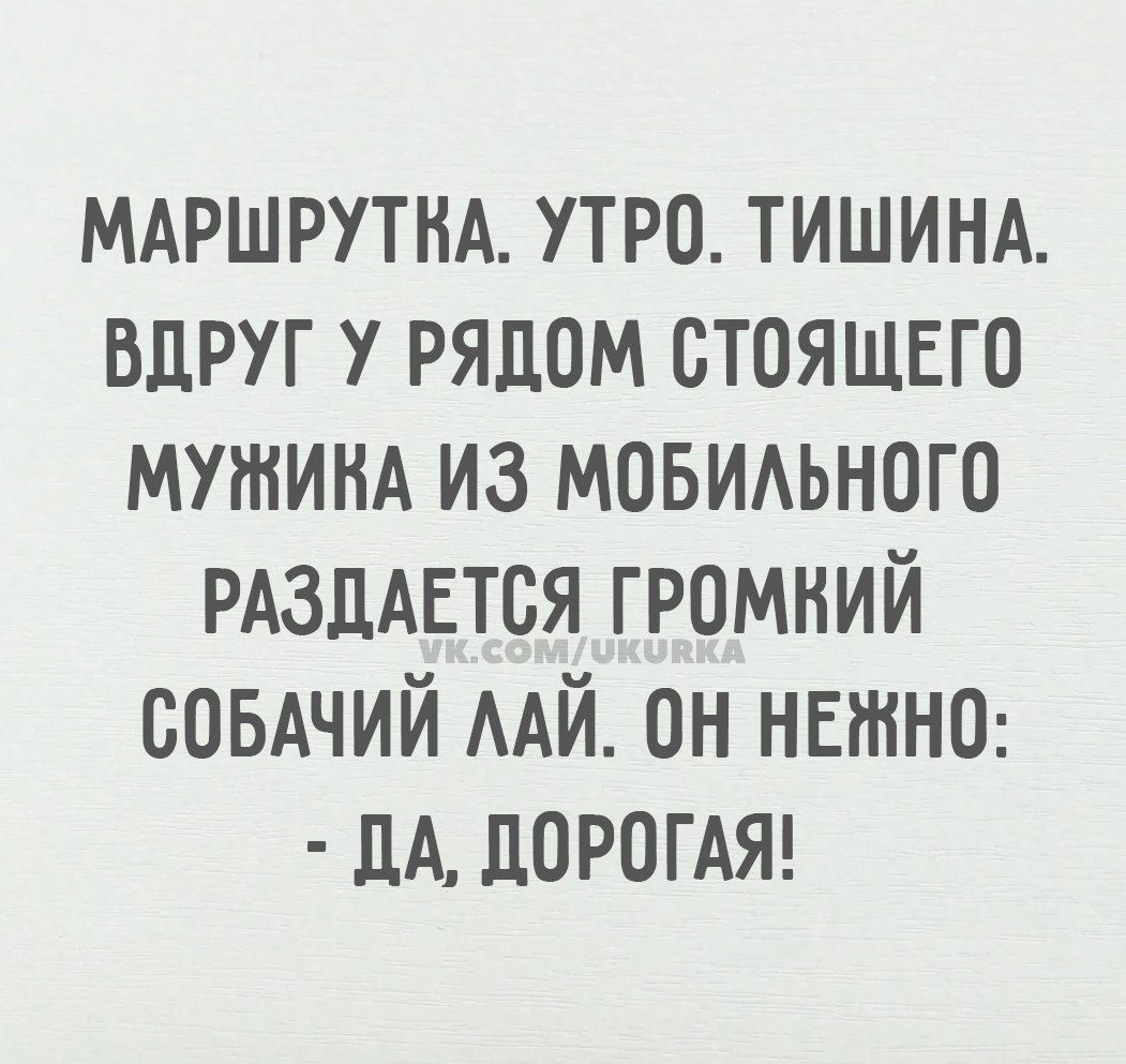 МАРШРУТКА УТРО ТИШИНА ВДРУГ У РЯДОМ СТОЯЩЕГО МУЖИВА ИЗ МОБИЛЬНОГО РАЗДАЕТСЯ ГРОМКИЙ СОБАЧИЙ ЛАЙ ОН НЕЖНО ДА ДОРОГАЯ