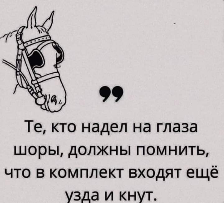 Те кто надел на глаза шоры должны помнить что в комплект входят ещё узда и кнут