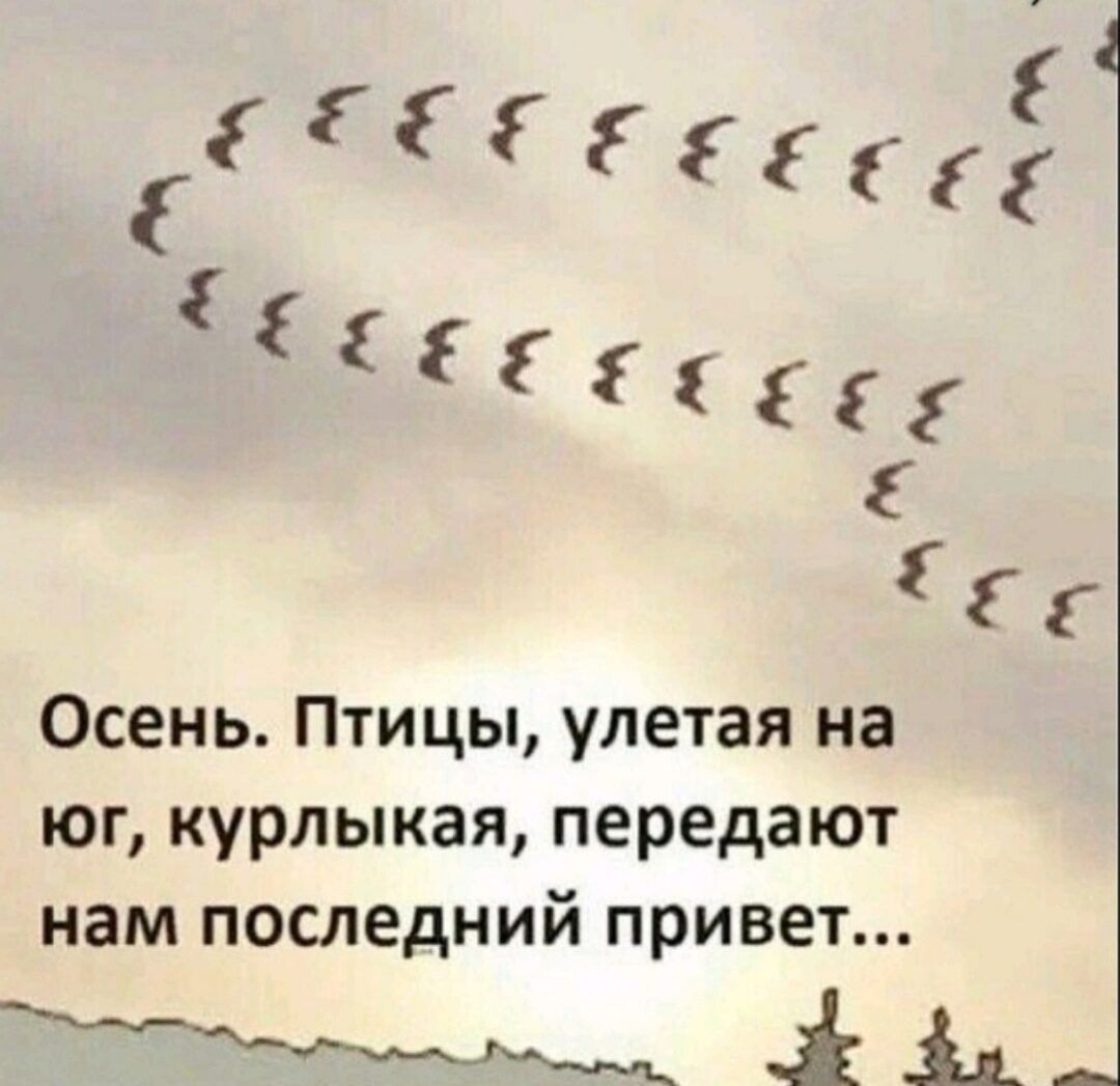 1 Фсс Осень Птицы улетая на юг курлыкая передают нам последний привет