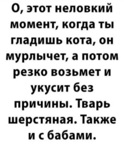 О этот неловкий момент когда ты гладишь кота он мурлычет а потом резко возьмет и укусит без причины Тварь шерстяная Также и сбабами