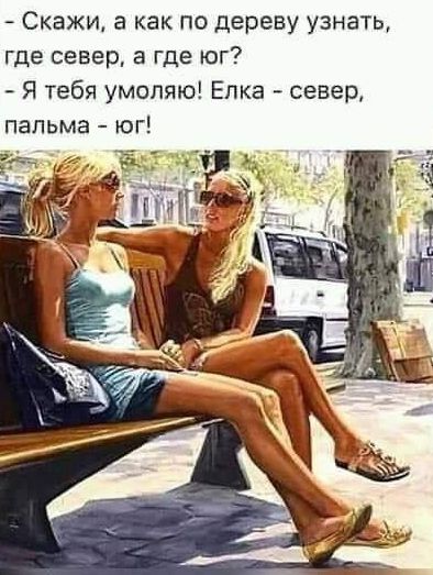 Скажи а как по дереву узнать где север а где юг Я тебя умоляю Елка север пальма юг
