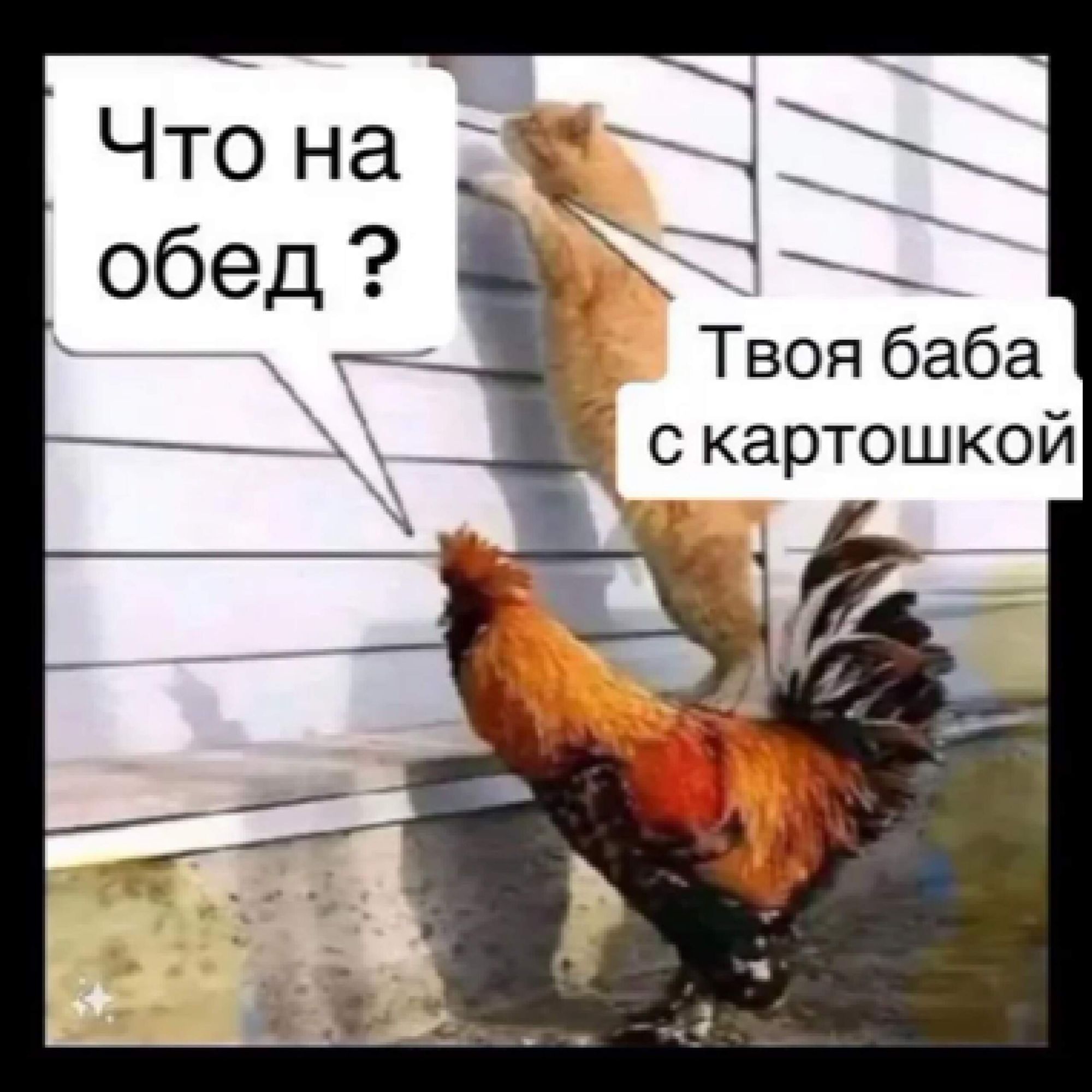 1 Твоя баба скартошкой