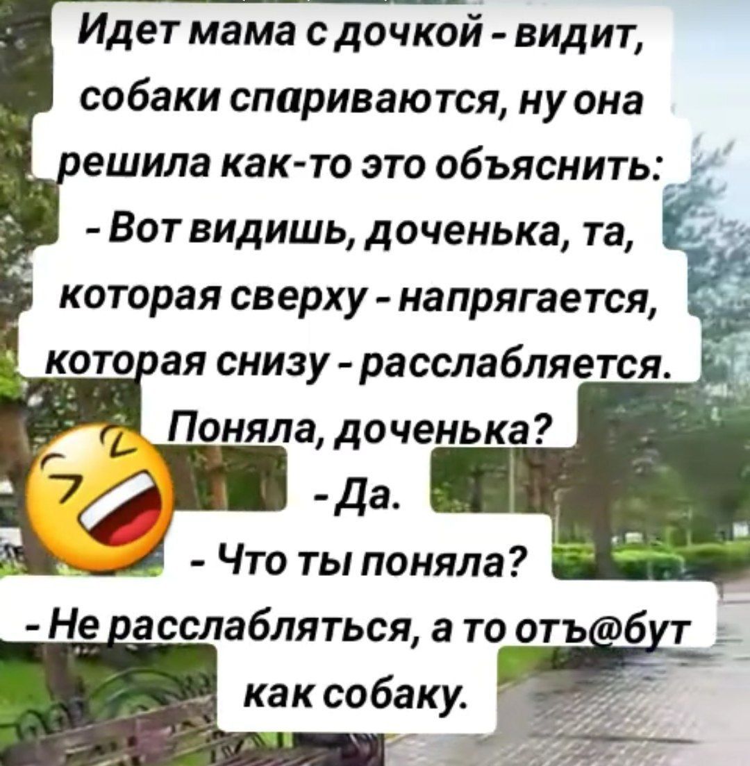 Идет мама с дочкой видит собаки спариваются ну она ешила как то это объяснить Вот видишь доченька та которая сверху напрягается которая снизу расслабляется АПоняла доченька 7 Да _Д Что ты поняла Не расслабляться а то отъб как собаку