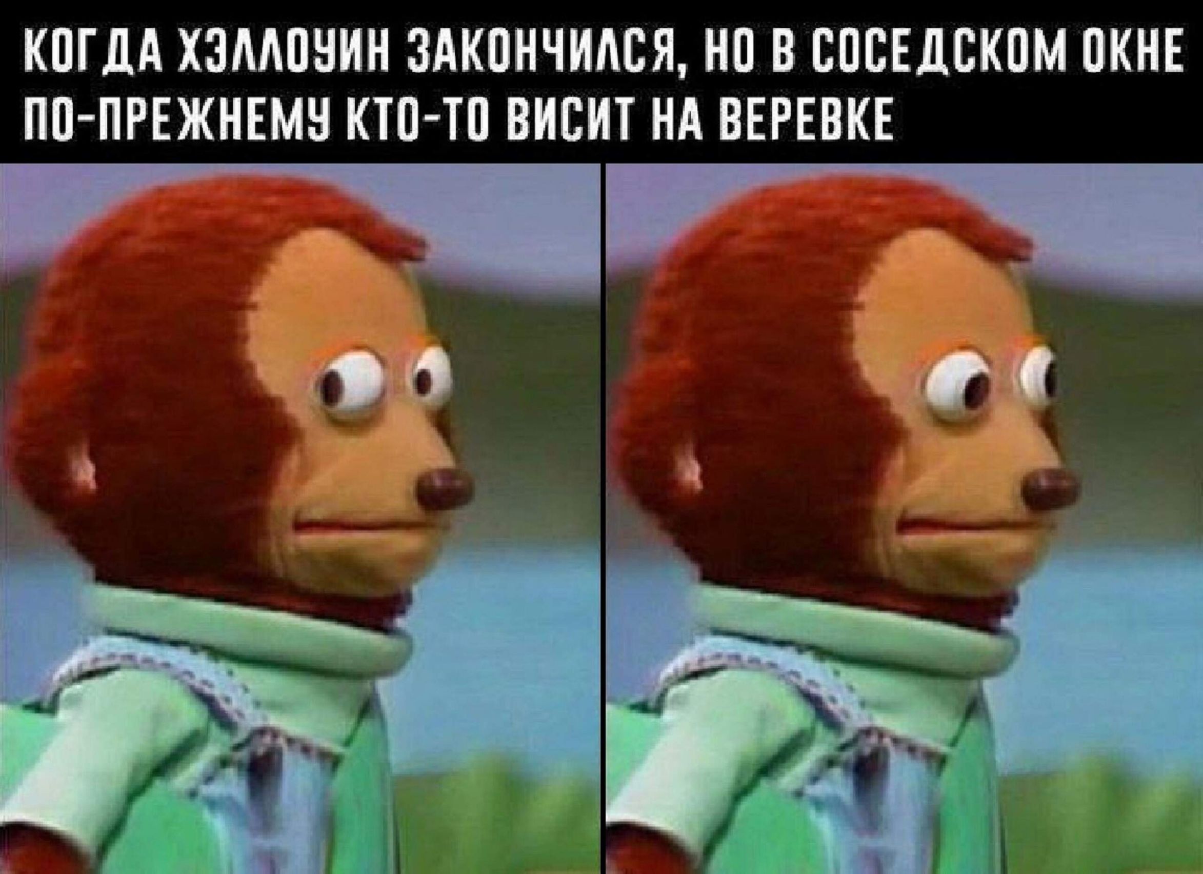 КОГДА ХЭЛЛОЧИН ЗАКОНЧИЛСЯ НО В СОСЕДСКОМ ОКНЕ ПО ПРЕЖНЕМУ КТО ТО ВИСИТ НА ВЕРЕВКЕ а э