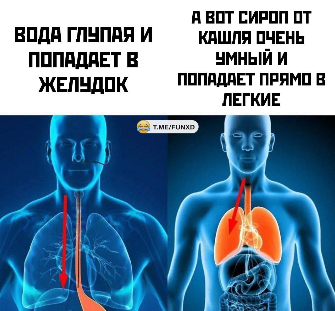 А ВОТ СИРОП ОТ ВОДА ГЛУПАЯ И КАШЛЯ ОЧЕНЬ ПОПАДАЕТ В ЧМНЫЙ И ЖЕЛУДОК ПОПАДАЕТ ПРЯМО В ЛЕГКИЕ