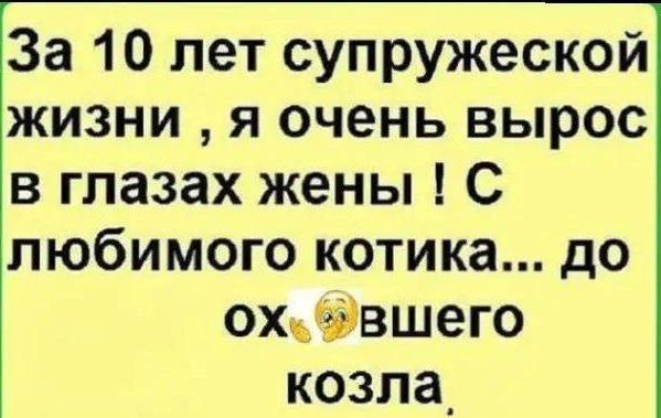 За 10 лет супружеской жизни я очень вырос в глазах жены С любимого котика до охэвшего козла