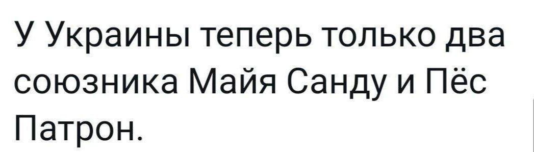 У Украины теперь только два союзника Майя Санду и Пёс Патрон