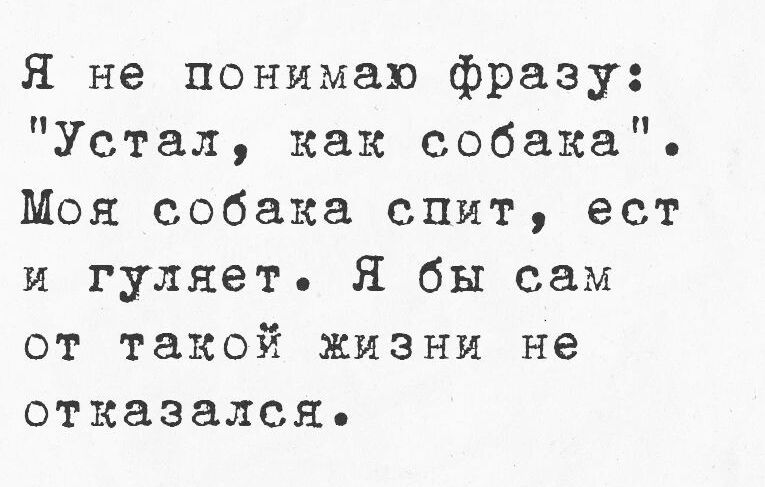 Я не понимаю фразу Устал какх собака Моя собака спит ест и гуляет Я бы сам от такой жизни не отказался