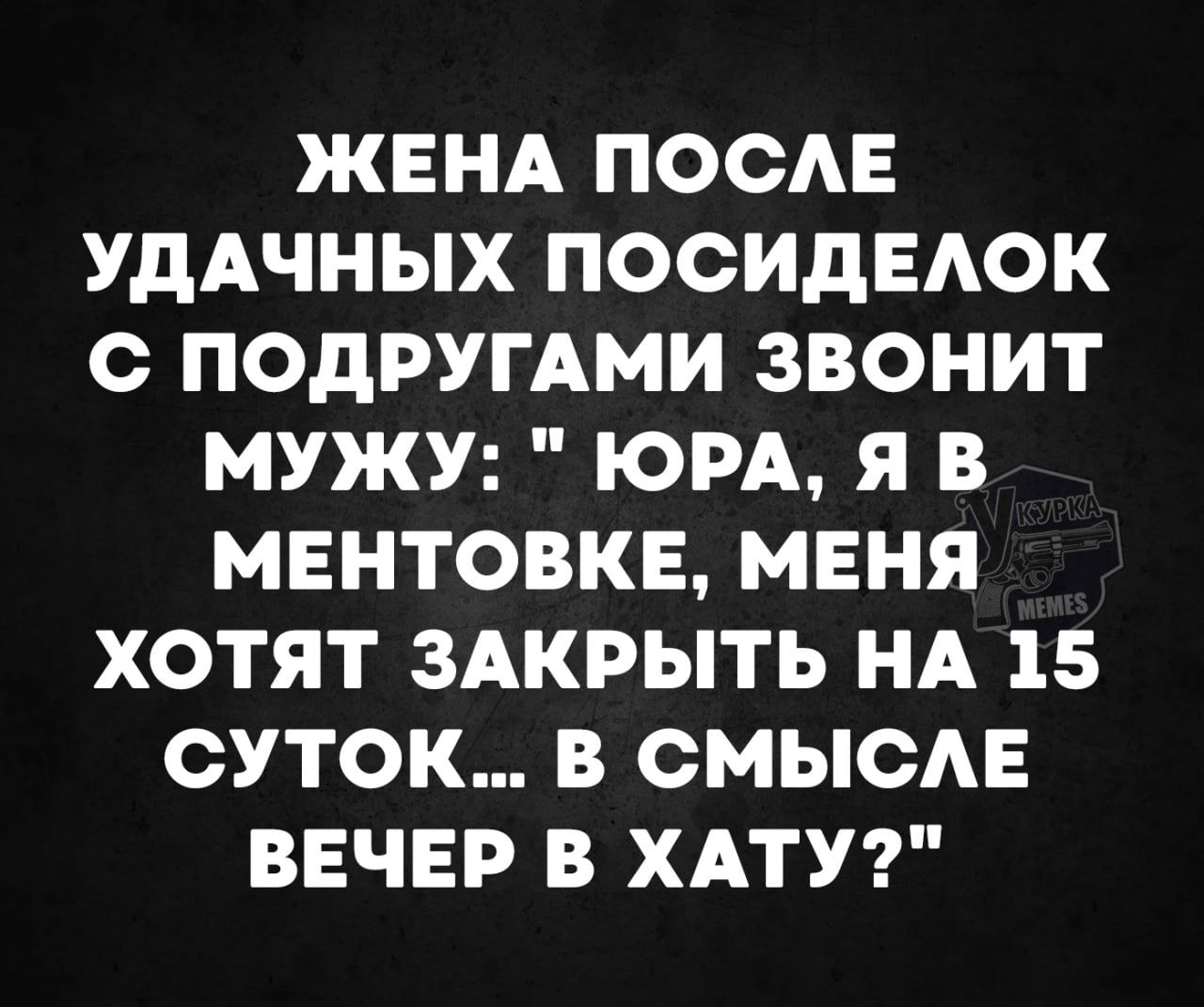 ЖЕНА ПОСЛЕ УДАЧНЫХ ПОСИДЕЛОК С ПОДРУГАМИ ЗВОНИТ МУЖУ ЮРА Я В МЕНТОВКЕ МЕНЯ ХОТЯТ ЗАКРЫТЬ НА 15 СУТОК В СМЫСЛЕ ВЕЧЕР В ХАТУ