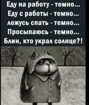 Еду на работу темно Еду с работы темно ложусь спать темно Просыпаюсь темно Блин кто украл солнце