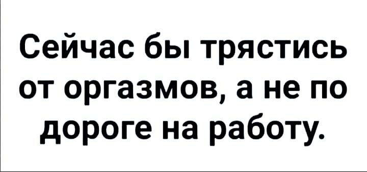 Сейчас бы трястись от оргазмов а не по дороге на работу