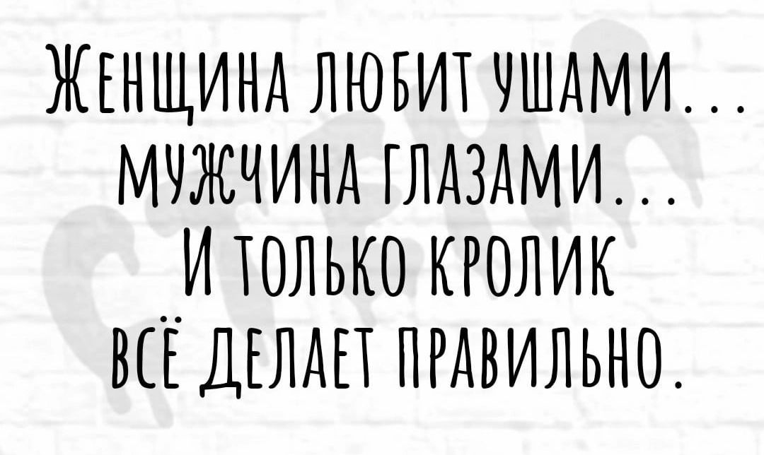 ЖЕНЩИНА ЛЮБИТ УШАМИ МУЖЧИНА ГЛАЗАМИ И ТОЛЬКО КРОЛИК ВСЕ ДЕЛАЕТ ПРАВИЛЬНО