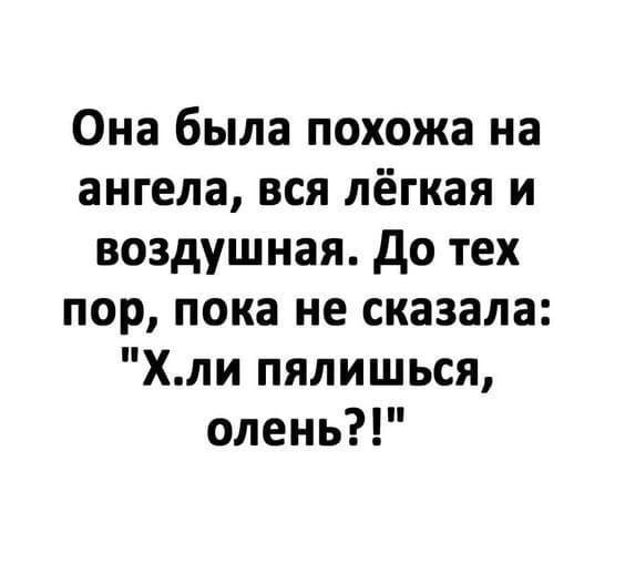 Она была похожа на ангела вся лёгкая и воздушная До тех пор пока не сказала Хли пялишься олень