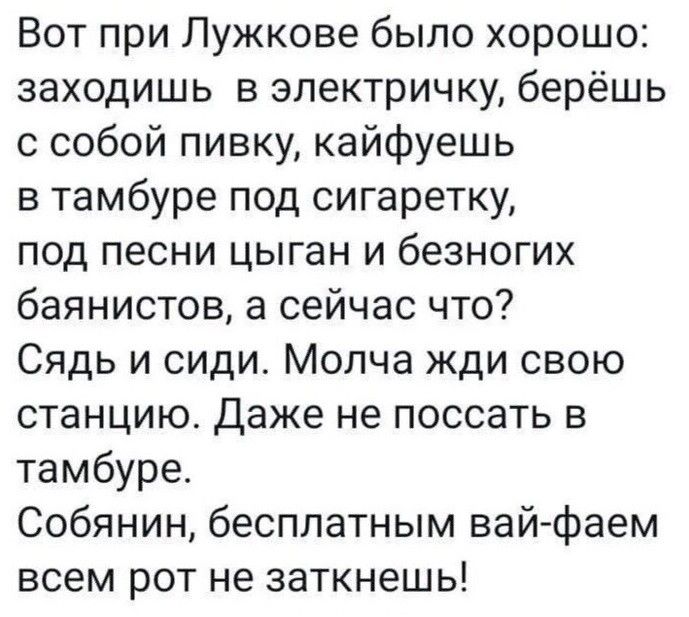 Вот при Лужкове было хорошо заходишь в электричку берёшь с собой пивку кайфуешь в тамбуре под сигаретку под песни цыган и безногих баянистов а сейчас что Сядь и сиди Молча жди свою станцию Даже не поссать в тамбуре Собянин бесплатным вай фаем всем рот не заткнешь