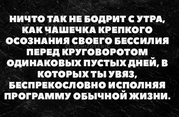 НИЧТО ТАК НЕ БОДРИТ С УТРА КАК ЧАШЕЧКА КРЕПКОГО ОСОЗНАНИЯ СВОЕГО БЕССИЛИЯ ПЕРЕД КРУГОВОРОТОМ ОДИНАКОВЫХ ПУСТЫХ ДНЕЙ В КОТОРЫХ ТЫ УВЯЗ БЕСПРЕКОСЛОВНО ИСПОЛНЯЯ ПРОГРАММУ ОБЫЧНОЙ ЖИЗНИ