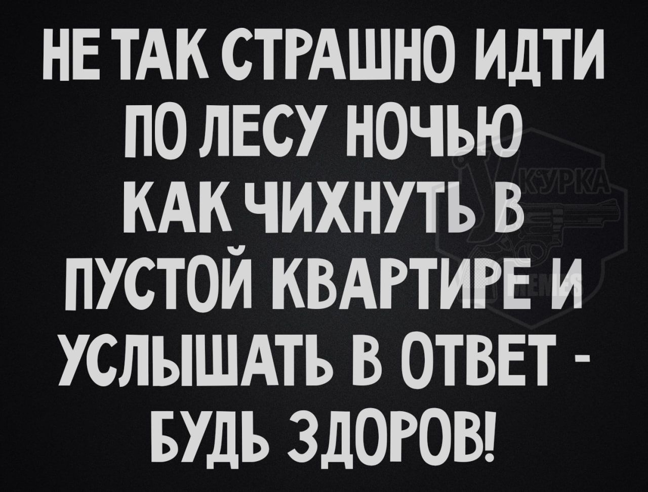 НЕ ТАК СТРАШНО ИДТИ ПО ЛЕСУ НОЧЬЮ КАК ЧИХНУТЬ В ПУСТОЙ КВАРТИРЕ И УСЛЫШАТЬ В ОТВЕТ БУДЬ ЗДОРОВ