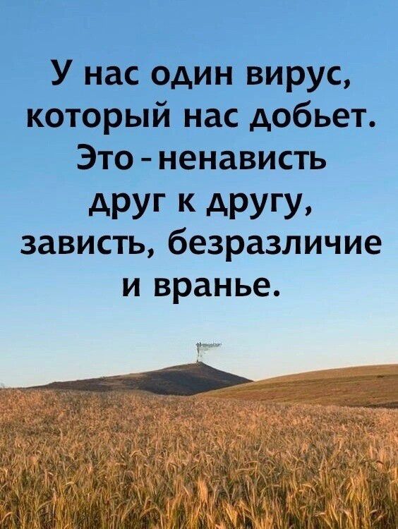 У нас один вирус который нас добьет Это ненависть друг к другу зависть безразличие и вранье